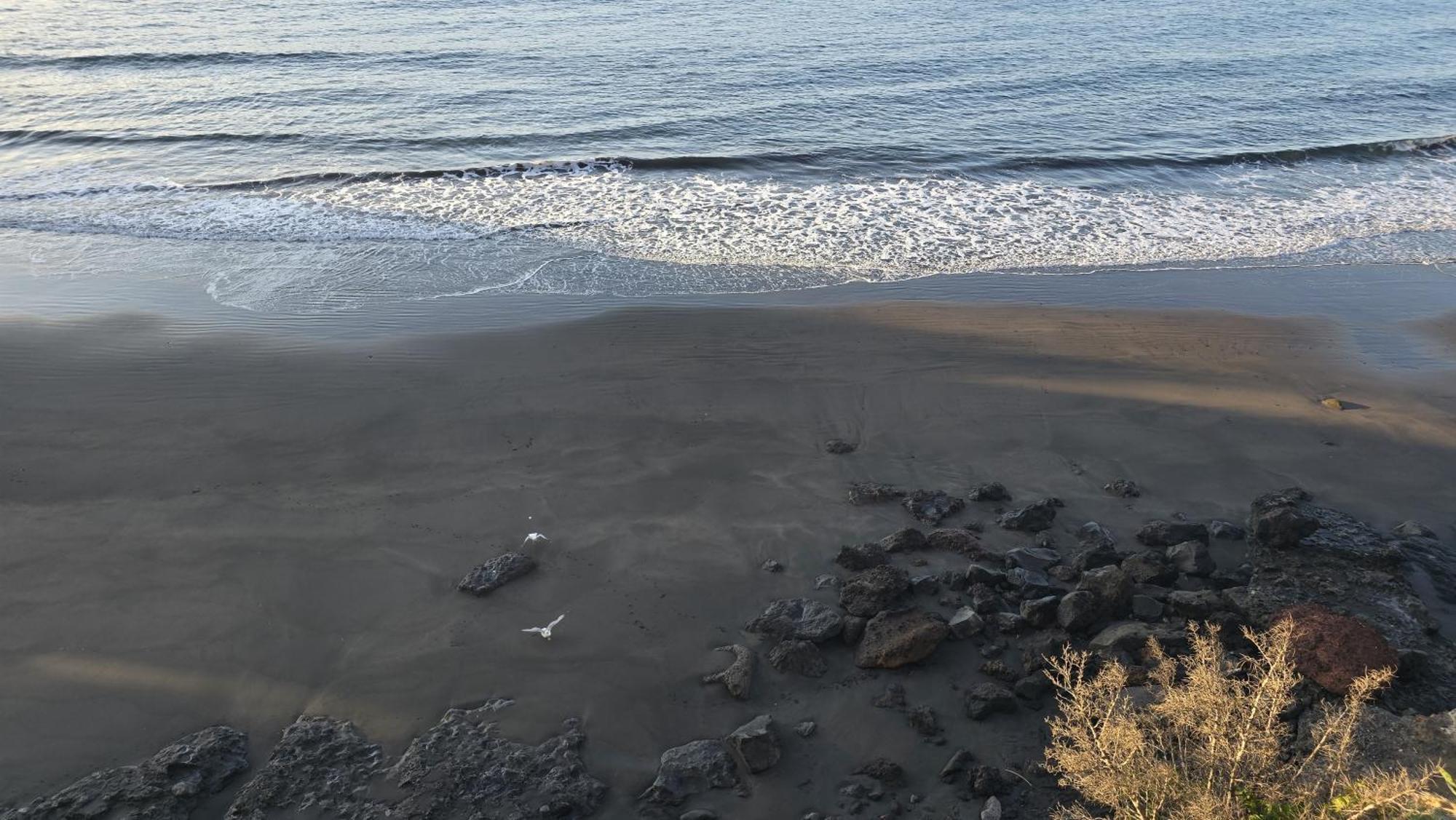 Seaview Apartment, Playa Chica, Las Gaviotas, Apartamento 311 산타크루스데 테네리페 외부 사진